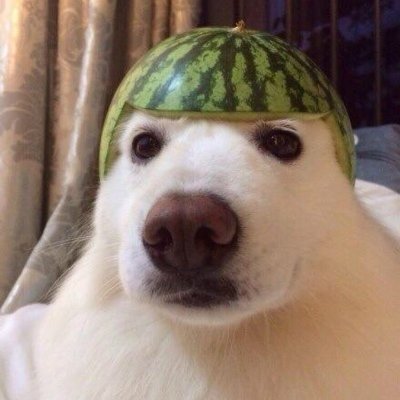 ora08ncge5's profile picture. 