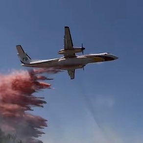 ArrowSlyCob's profile picture. 100% naturel