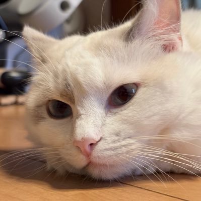 nontop78's profile picture. 7👧🏻/5👦🏻mama・ Creepy Nuts/BIG BANG/T.O.P/ パク・ソジュン/ パク・シネ/韓国ドラマ好き♥🇰🇷コナンらぶ👓🎀❤️