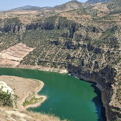 ZSoraan42345's profile picture. Şivanek filozof 😃😃😃