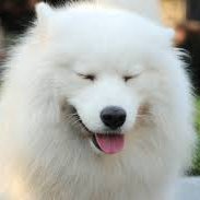 ESuwwcUWof46615's profile picture. 