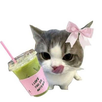 selynrpmtwt's profile picture. RPm 2026 𝚿 // RGO babie // Para sa sikolohiyang malaya at mapagpalaya ✨️