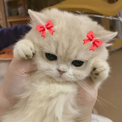 borlorlibrary's profile picture. ᴍᴀɪɴ : ɴ'ʜᴇᴀʀᴛᴄʜᴜ  ɴ'ᴛᴀᴅ                      
                       
fic : #brlibraryy , cd : #brlibraryyrv

( ᴘᴏɴɢᴄʜᴜ  &
ʜᴇᴀʀᴛ ᴋᴏɴ ꜱᴜᴀʏ 🩷)