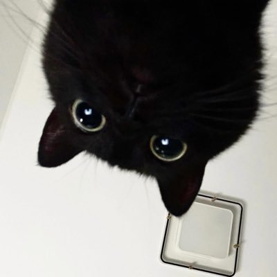 1jslover7's profile picture. #ALD1 여자라면 #김준서 ⑉♥