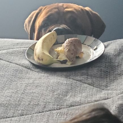 sportsdad33ipa's profile picture. 