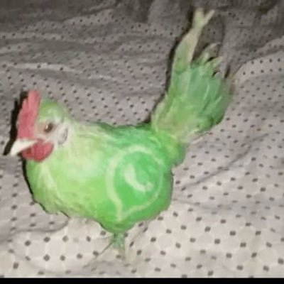 icmiygl's profile picture. baucien 🤞