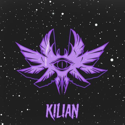 lKiliannOH's profile picture. 26| COD Sniper Player @SRPHMgg |
