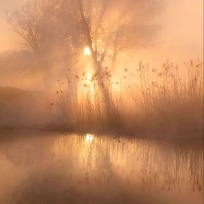 rr17444's profile picture. “Once”, (the angels spoke to me). in a silence heavy with meaning. أهذهِ صخرةٌ أم هذهِ كبِدُ؟