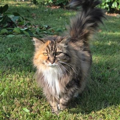 Laura1exilestan's profile picture. #Theerastour Paris 11/05 & 12/05 💖  London 16/08 ✨

french Swiftie since Speak Now 💜