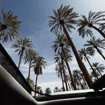 lj0x_'s profile picture. Creative in everything | Content Writer & Media Coordinator