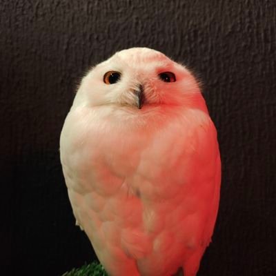 180and147's profile picture. เอาไว้ดูอย่างเดียว ไม่รู้จะโพสต์อะไร