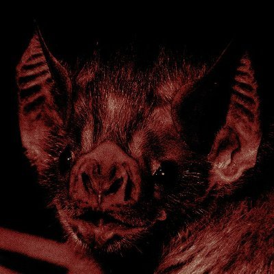 s1ckshit's profile picture. ⋆ 19 , it/he ⋆ stonerexic , bmi 19.5 , lbmi 16 ⋆ #shedtwt , #drugtwt , #988twt ⋆ basic dni ⋆ priv; @ittybittysquidi