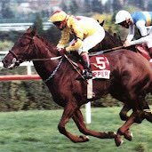 trapperefsanesi's profile picture. 