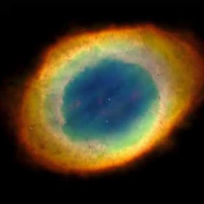 elonsiewww's profile picture. Innovator | DeAI / Web3 | Turning abstract models into working systems