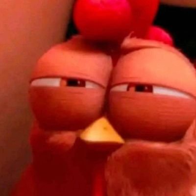 jos_cadena22's profile picture. Mochilera de corazón y coleccionista de culturas. 🎒 La vida es demasiado corta para quedarse en un solo lugar.