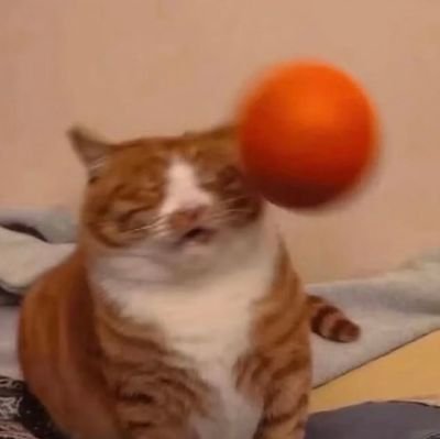 pandacasm's profile picture. I tweet the things that I need myself to understand.