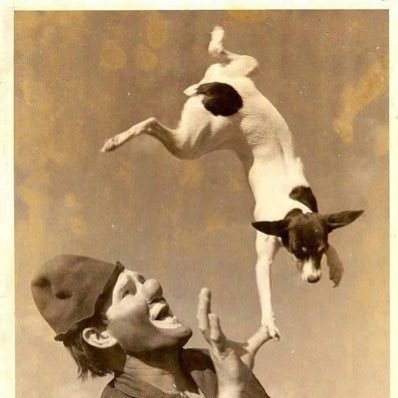 3kidzlater's profile picture. Monkey Pox prolonger | Long Johnson and Johnson Covid Vax envy | #Resits