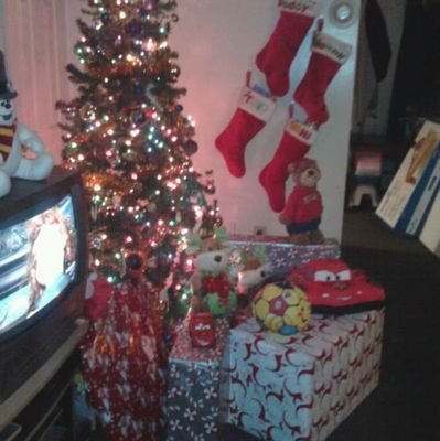 WillisAmel41773's profile picture. 