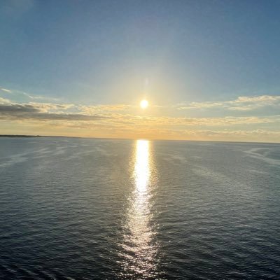 zaid_balasm's profile picture. Complex High risk Indicated Pci-CHIP fields of interest: Complex PCI-CTO-MCS-PVD | tweets are my own