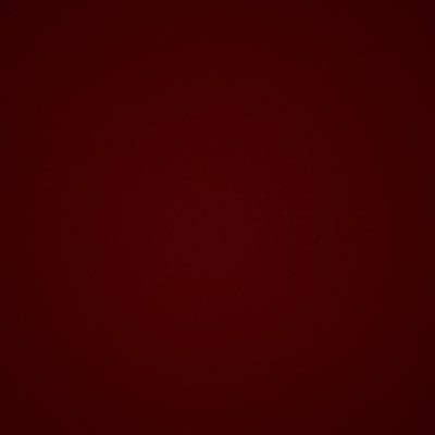 totyycastro's profile picture. inst: totyycastro