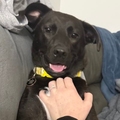 kylanweisser11's profile picture. #RQ