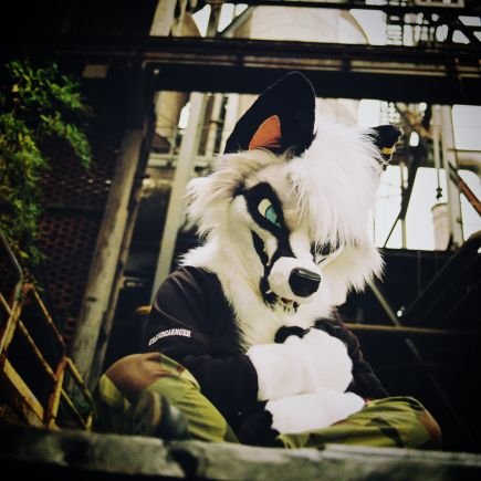 hyttenrunen's profile picture. my bf says I'm a catch, I'm fopular.                                                       🪡 fursuit tailored by @deaddogfursuits