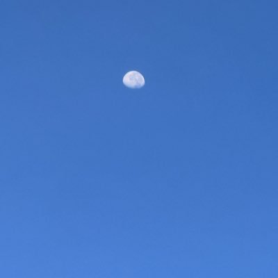 chen14133's profile picture. 