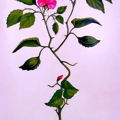 RatulThaku4244's profile picture. 🇮🇳🇮🇳🇮🇳