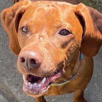 wendy0xxx00's profile picture. erotica 💦🐾....my videos will make u c*m in minutes 🤭🤤💦