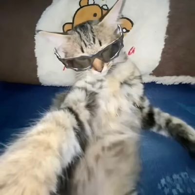 mikailaa137's profile picture. 