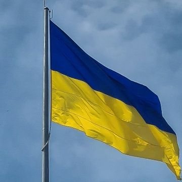 NafoFella176340's profile picture. #NAFO 
🇺🇦🇪🇺🇮🇱🇹🇼