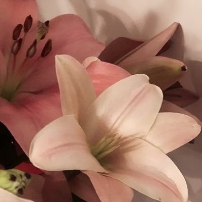 imunakb's profile picture. الحمدالله