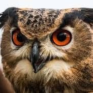 karamizahgenci's profile picture. 