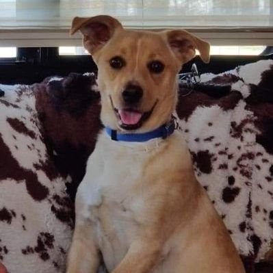 valencyxx00's profile picture. Adult playground. No safe word needed… unless you beg. 😈
find your way into seduction darling...🐾🐶🤤💦💦❣️