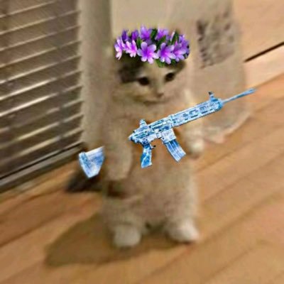 Yuvraj3865061's profile picture. …