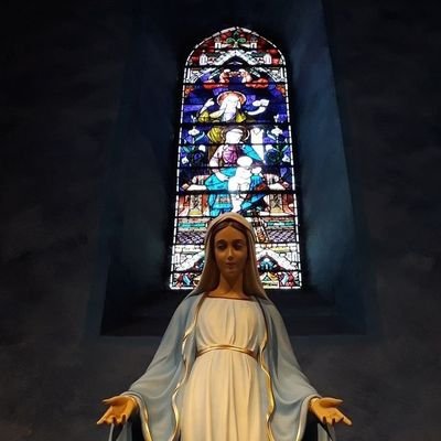 Manou54872576's profile picture. Ceux qui peuvent vous faire croire en des absurdités pourront vous faire commettre des atrocités

Voltaire