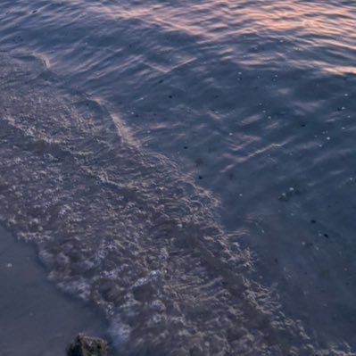 x7illxl's profile picture. 🧬🥼🧫🔬 #catlover