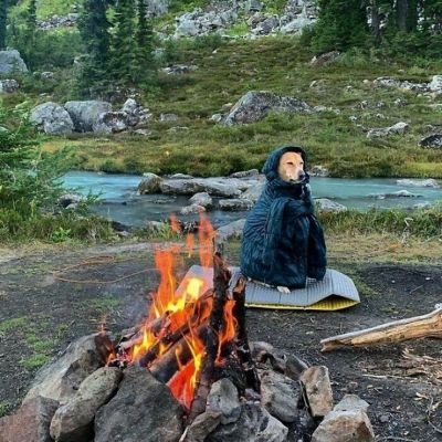albertonunsie's profile picture.