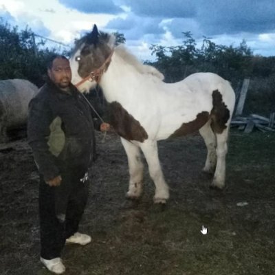 kamburkataa's profile picture. 16 • 🇧🇬🇬🇧 • $425 │@stef4u_  🏹