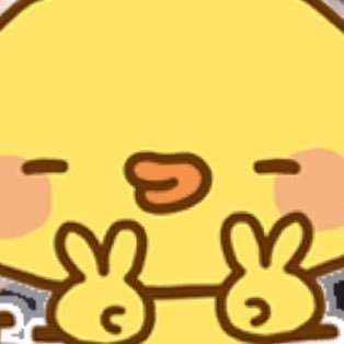 519_d's profile picture. 