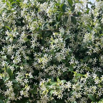 yesiam_________'s profile picture. entrerriana