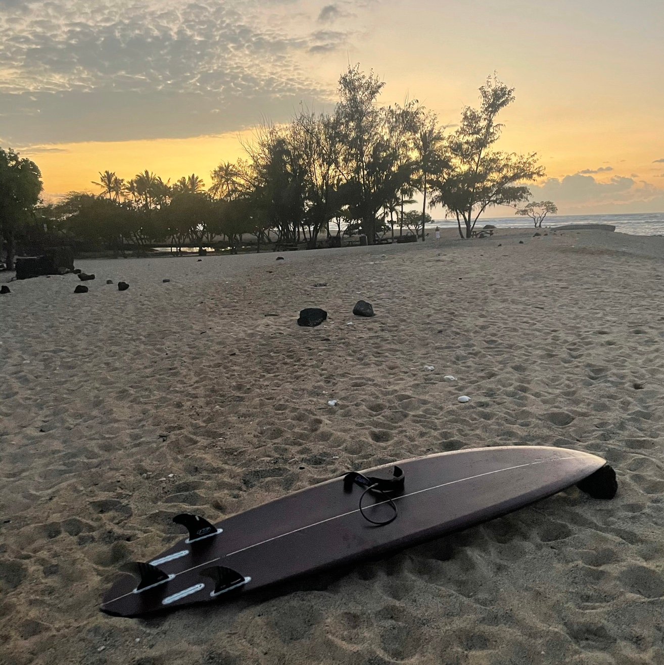 SurfUntilDrop66's profile picture. 