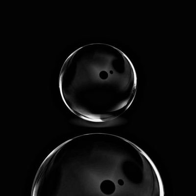 hubzify's profile picture. dev/trader