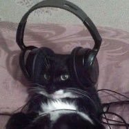 verliawa's profile picture. she/her | 23 yo | i’m an all for the gamer and a heated rivalry preacher