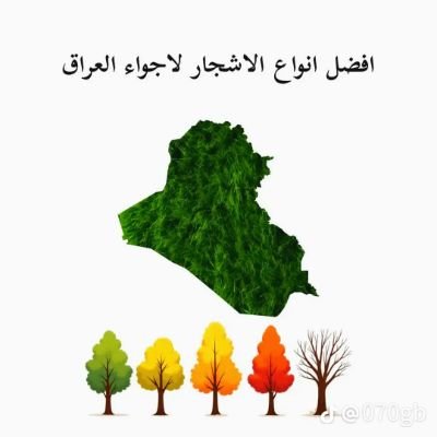 ssallmmqd333's profile picture. هذ حسابي الاول. @ttyyuu2010h.