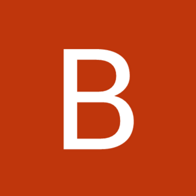 Bruant13492's profile picture.