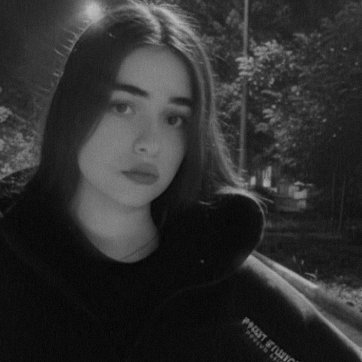 Persiskkatt's profile picture. God Kabab Homeland.