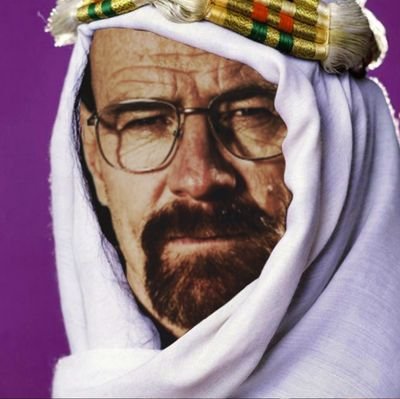 dilbertbuthot's profile picture. My name is Walter Hartwell White. I live at 308 Negra Arroyo Lane, Albuquerque, New Mexico, 87104. Chemistry Teacher at J. P. Wynne High School,NM, 🫶😌