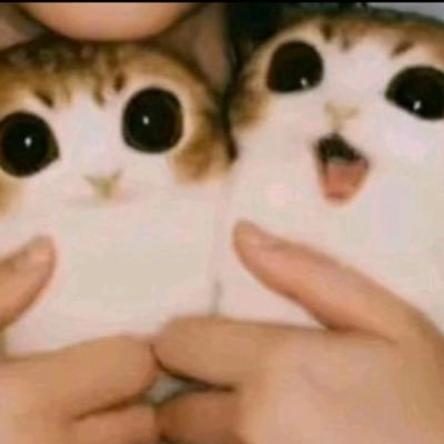 Crazydiamonda2's profile picture.