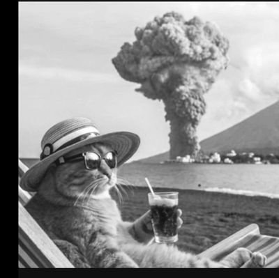 xis_suck's profile picture. Random Gen Z with seven years old Android